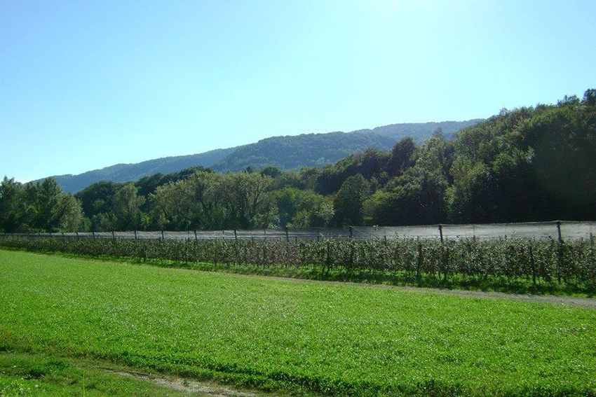 Le Valli del Natisone